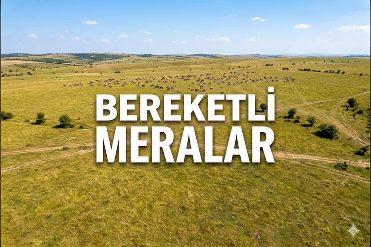 tatarlar köyiçi projemiz - 5